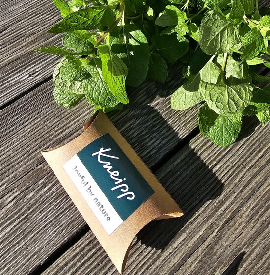 Verslo dovanos iš sėklų su įmonės logotipu